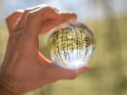 Scaling Innovation Across Borders: A Practical Guide for Global Enterprise Transformation